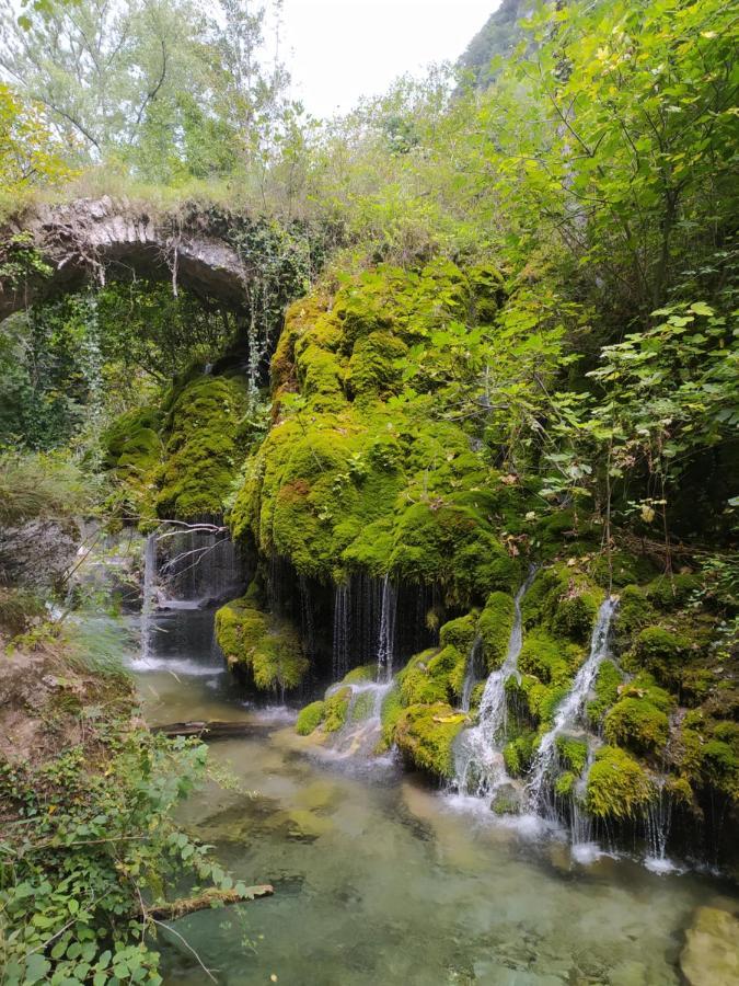 Tenuta Vallina - Golfo Di Policastro Tortorella Bagian luar foto